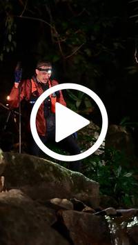 BIB:  <button type="button" onclick="openModal(27946978)" class="btn btn-primary btn-sm float-right" data-toggle="modal" data-target=".modal-high-quality">
                <i class="fa fa-download"></i> Download
                </button>