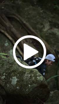 BIB:  <button type="button" onclick="openModal(27943327)" class="btn btn-primary btn-sm float-right" data-toggle="modal" data-target=".modal-high-quality">
                <i class="fa fa-download"></i> Download
                </button>