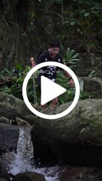 BIB:  <button type="button" onclick="openModal(27943608)" class="btn btn-primary btn-sm float-right" data-toggle="modal" data-target=".modal-high-quality">
                <i class="fa fa-download"></i> Download
                </button>