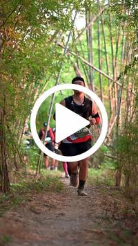 BIB:  <button type="button" onclick="openModal(27963381)" class="btn btn-primary btn-sm float-right" data-toggle="modal" data-target=".modal-high-quality">
                <i class="fa fa-download"></i> Download
                </button>