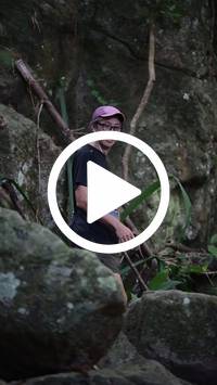 BIB:  <button type="button" onclick="openModal(27943880)" class="btn btn-primary btn-sm float-right" data-toggle="modal" data-target=".modal-high-quality">
                <i class="fa fa-download"></i> Download
                </button>