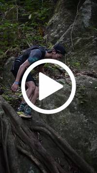 BIB:  <button type="button" onclick="openModal(27943426)" class="btn btn-primary btn-sm float-right" data-toggle="modal" data-target=".modal-high-quality">
                <i class="fa fa-download"></i> Download
                </button>