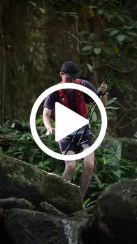 BIB:  <button type="button" onclick="openModal(27946144)" class="btn btn-primary btn-sm float-right" data-toggle="modal" data-target=".modal-high-quality">
                <i class="fa fa-download"></i> Download
                </button>