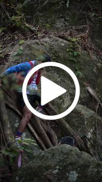 BIB:  <button type="button" onclick="openModal(27943591)" class="btn btn-primary btn-sm float-right" data-toggle="modal" data-target=".modal-high-quality">
                <i class="fa fa-download"></i> Download
                </button>