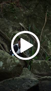 BIB:  <button type="button" onclick="openModal(27943106)" class="btn btn-primary btn-sm float-right" data-toggle="modal" data-target=".modal-high-quality">
                <i class="fa fa-download"></i> Download
                </button>