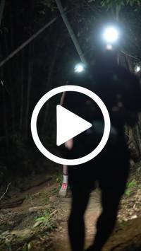 BIB:  <button type="button" onclick="openModal(28055401)" class="btn btn-primary btn-sm float-right" data-toggle="modal" data-target=".modal-high-quality">
                <i class="fa fa-download"></i> Download
                </button>