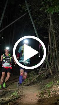 BIB:  <button type="button" onclick="openModal(28055304)" class="btn btn-primary btn-sm float-right" data-toggle="modal" data-target=".modal-high-quality">
                <i class="fa fa-download"></i> Download
                </button>