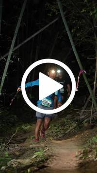 BIB:  <button type="button" onclick="openModal(28055118)" class="btn btn-primary btn-sm float-right" data-toggle="modal" data-target=".modal-high-quality">
                <i class="fa fa-download"></i> Download
                </button>