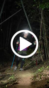 BIB:  <button type="button" onclick="openModal(28054873)" class="btn btn-primary btn-sm float-right" data-toggle="modal" data-target=".modal-high-quality">
                <i class="fa fa-download"></i> Download
                </button>