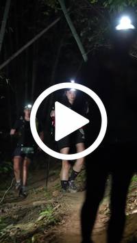 BIB:  <button type="button" onclick="openModal(28055441)" class="btn btn-primary btn-sm float-right" data-toggle="modal" data-target=".modal-high-quality">
                <i class="fa fa-download"></i> Download
                </button>