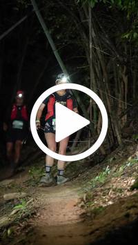 BIB:  <button type="button" onclick="openModal(28055741)" class="btn btn-primary btn-sm float-right" data-toggle="modal" data-target=".modal-high-quality">
                <i class="fa fa-download"></i> Download
                </button>