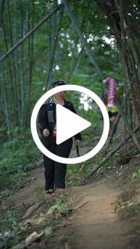 BIB:  <button type="button" onclick="openModal(28087383)" class="btn btn-primary btn-sm float-right" data-toggle="modal" data-target=".modal-high-quality">
                <i class="fa fa-download"></i> Download
                </button>