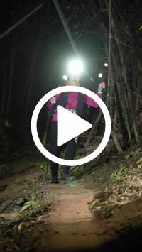 BIB:  <button type="button" onclick="openModal(28057022)" class="btn btn-primary btn-sm float-right" data-toggle="modal" data-target=".modal-high-quality">
                <i class="fa fa-download"></i> Download
                </button>