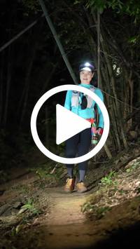 BIB:  <button type="button" onclick="openModal(28056712)" class="btn btn-primary btn-sm float-right" data-toggle="modal" data-target=".modal-high-quality">
                <i class="fa fa-download"></i> Download
                </button>