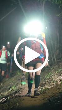 BIB:  <button type="button" onclick="openModal(28101084)" class="btn btn-primary btn-sm float-right" data-toggle="modal" data-target=".modal-high-quality">
                <i class="fa fa-download"></i> Download
                </button>