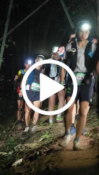 BIB:  <button type="button" onclick="openModal(28055956)" class="btn btn-primary btn-sm float-right" data-toggle="modal" data-target=".modal-high-quality">
                <i class="fa fa-download"></i> Download
                </button>