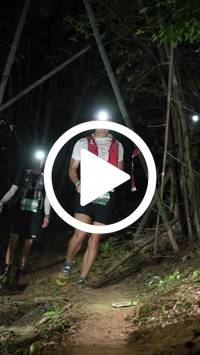 BIB:  <button type="button" onclick="openModal(28054326)" class="btn btn-primary btn-sm float-right" data-toggle="modal" data-target=".modal-high-quality">
                <i class="fa fa-download"></i> Download
                </button>