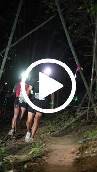 BIB:  <button type="button" onclick="openModal(28053484)" class="btn btn-primary btn-sm float-right" data-toggle="modal" data-target=".modal-high-quality">
                <i class="fa fa-download"></i> Download
                </button>