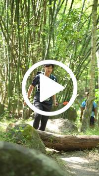 BIB:  <button type="button" onclick="openModal(28063833)" class="btn btn-primary btn-sm float-right" data-toggle="modal" data-target=".modal-high-quality">
                <i class="fa fa-download"></i> Download
                </button>