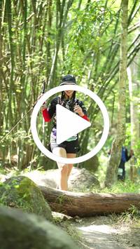 BIB:  <button type="button" onclick="openModal(28066662)" class="btn btn-primary btn-sm float-right" data-toggle="modal" data-target=".modal-high-quality">
                <i class="fa fa-download"></i> Download
                </button>