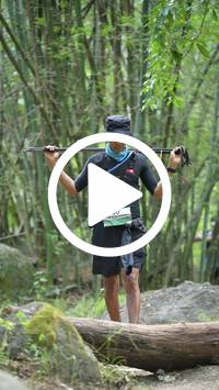 BIB:  <button type="button" onclick="openModal(28087787)" class="btn btn-primary btn-sm float-right" data-toggle="modal" data-target=".modal-high-quality">
                <i class="fa fa-download"></i> Download
                </button>