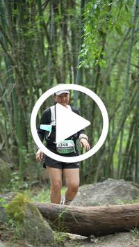 BIB:  <button type="button" onclick="openModal(28087261)" class="btn btn-primary btn-sm float-right" data-toggle="modal" data-target=".modal-high-quality">
                <i class="fa fa-download"></i> Download
                </button>