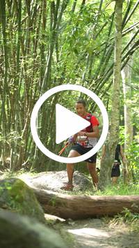 BIB:  <button type="button" onclick="openModal(28067358)" class="btn btn-primary btn-sm float-right" data-toggle="modal" data-target=".modal-high-quality">
                <i class="fa fa-download"></i> Download
                </button>