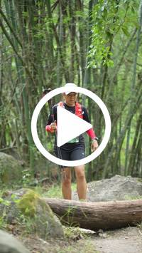 BIB:  <button type="button" onclick="openModal(28088464)" class="btn btn-primary btn-sm float-right" data-toggle="modal" data-target=".modal-high-quality">
                <i class="fa fa-download"></i> Download
                </button>