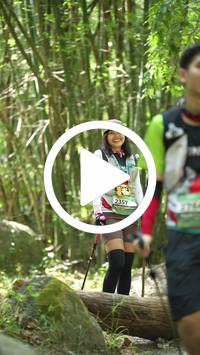 BIB:  <button type="button" onclick="openModal(28069950)" class="btn btn-primary btn-sm float-right" data-toggle="modal" data-target=".modal-high-quality">
                <i class="fa fa-download"></i> Download
                </button>