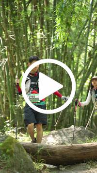 BIB:  <button type="button" onclick="openModal(28069954)" class="btn btn-primary btn-sm float-right" data-toggle="modal" data-target=".modal-high-quality">
                <i class="fa fa-download"></i> Download
                </button>