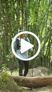 BIB:  <button type="button" onclick="openModal(28071060)" class="btn btn-primary btn-sm float-right" data-toggle="modal" data-target=".modal-high-quality">
                <i class="fa fa-download"></i> Download
                </button>