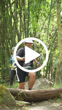 BIB:  <button type="button" onclick="openModal(28088736)" class="btn btn-primary btn-sm float-right" data-toggle="modal" data-target=".modal-high-quality">
                <i class="fa fa-download"></i> Download
                </button>