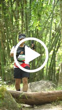 BIB:  <button type="button" onclick="openModal(28070616)" class="btn btn-primary btn-sm float-right" data-toggle="modal" data-target=".modal-high-quality">
                <i class="fa fa-download"></i> Download
                </button>