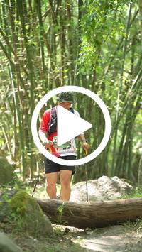 BIB:  <button type="button" onclick="openModal(28067955)" class="btn btn-primary btn-sm float-right" data-toggle="modal" data-target=".modal-high-quality">
                <i class="fa fa-download"></i> Download
                </button>