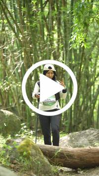 BIB:  <button type="button" onclick="openModal(28070811)" class="btn btn-primary btn-sm float-right" data-toggle="modal" data-target=".modal-high-quality">
                <i class="fa fa-download"></i> Download
                </button>