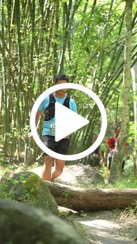 BIB:  <button type="button" onclick="openModal(28067272)" class="btn btn-primary btn-sm float-right" data-toggle="modal" data-target=".modal-high-quality">
                <i class="fa fa-download"></i> Download
                </button>