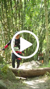 BIB:  <button type="button" onclick="openModal(28067677)" class="btn btn-primary btn-sm float-right" data-toggle="modal" data-target=".modal-high-quality">
                <i class="fa fa-download"></i> Download
                </button>