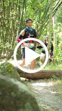 BIB:  <button type="button" onclick="openModal(28062808)" class="btn btn-primary btn-sm float-right" data-toggle="modal" data-target=".modal-high-quality">
                <i class="fa fa-download"></i> Download
                </button>