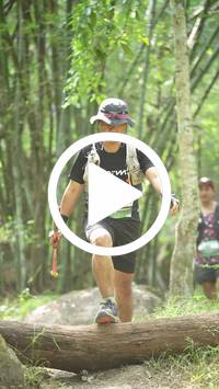 BIB:  <button type="button" onclick="openModal(28081489)" class="btn btn-primary btn-sm float-right" data-toggle="modal" data-target=".modal-high-quality">
                <i class="fa fa-download"></i> Download
                </button>