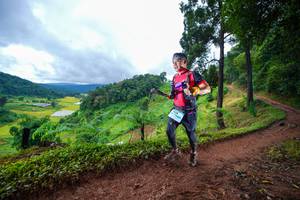 BIB: 
                            <button type="button" onclick="openModal(13361958)" class="btn btn-primary btn-sm float-right btn-popup" data-toggle="modal" data-target=".modal-high-quality">
                        <i class="fas fa-shopping-cart"></i> Add to Cart
                    </button>
                                            <button type="button" onclick="isThisMe(13361958, true)" class="btn btn-success btn-sm float-right btn-popup btn-isme hidden" data-toggle="tooltip" data-placement="bottom" title="นี่คือรูปของคุณใช่ไหม คลิกที่นี่เพื่อเอาเข้าอัลบั้ม">
                        <i class="fas fa-plus"></i> Add to album
                    </button>
                    <button type="button" onclick="isThisMe(13361958, false)" class="btn btn-warning btn-sm float-right btn-popup btn-isnotme hidden">
                        <i class="fas fa-ban"></i> Remove from album
                    </button>