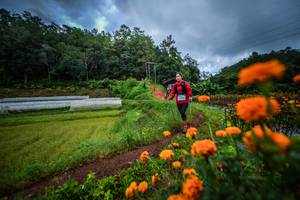 BIB: 
                            <button type="button" onclick="openModal(13360082)" class="btn btn-primary btn-sm float-right btn-popup" data-toggle="modal" data-target=".modal-high-quality">
                        <i class="fas fa-shopping-cart"></i> Add to Cart
                    </button>
                                            <button type="button" onclick="isThisMe(13360082, true)" class="btn btn-success btn-sm float-right btn-popup btn-isme hidden" data-toggle="tooltip" data-placement="bottom" title="นี่คือรูปของคุณใช่ไหม คลิกที่นี่เพื่อเอาเข้าอัลบั้ม">
                        <i class="fas fa-plus"></i> Add to album
                    </button>
                    <button type="button" onclick="isThisMe(13360082, false)" class="btn btn-warning btn-sm float-right btn-popup btn-isnotme hidden">
                        <i class="fas fa-ban"></i> Remove from album
                    </button>