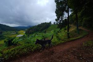 BIB: 
                            <button type="button" onclick="openModal(13360489)" class="btn btn-primary btn-sm float-right btn-popup" data-toggle="modal" data-target=".modal-high-quality">
                        <i class="fas fa-shopping-cart"></i> Add to Cart
                    </button>
                                            <button type="button" onclick="isThisMe(13360489, true)" class="btn btn-success btn-sm float-right btn-popup btn-isme hidden" data-toggle="tooltip" data-placement="bottom" title="นี่คือรูปของคุณใช่ไหม คลิกที่นี่เพื่อเอาเข้าอัลบั้ม">
                        <i class="fas fa-plus"></i> Add to album
                    </button>
                    <button type="button" onclick="isThisMe(13360489, false)" class="btn btn-warning btn-sm float-right btn-popup btn-isnotme hidden">
                        <i class="fas fa-ban"></i> Remove from album
                    </button>