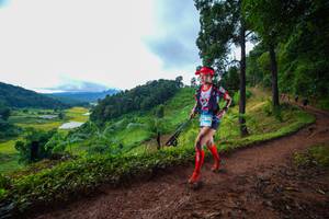 BIB: 
                            <button type="button" onclick="openModal(13360749)" class="btn btn-primary btn-sm float-right btn-popup" data-toggle="modal" data-target=".modal-high-quality">
                        <i class="fas fa-shopping-cart"></i> Add to Cart
                    </button>
                                            <button type="button" onclick="isThisMe(13360749, true)" class="btn btn-success btn-sm float-right btn-popup btn-isme hidden" data-toggle="tooltip" data-placement="bottom" title="นี่คือรูปของคุณใช่ไหม คลิกที่นี่เพื่อเอาเข้าอัลบั้ม">
                        <i class="fas fa-plus"></i> Add to album
                    </button>
                    <button type="button" onclick="isThisMe(13360749, false)" class="btn btn-warning btn-sm float-right btn-popup btn-isnotme hidden">
                        <i class="fas fa-ban"></i> Remove from album
                    </button>