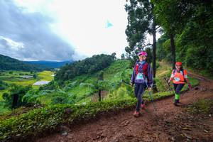 BIB: 
                            <button type="button" onclick="openModal(13364883)" class="btn btn-primary btn-sm float-right btn-popup" data-toggle="modal" data-target=".modal-high-quality">
                        <i class="fas fa-shopping-cart"></i> Add to Cart
                    </button>
                                            <button type="button" onclick="isThisMe(13364883, true)" class="btn btn-success btn-sm float-right btn-popup btn-isme hidden" data-toggle="tooltip" data-placement="bottom" title="นี่คือรูปของคุณใช่ไหม คลิกที่นี่เพื่อเอาเข้าอัลบั้ม">
                        <i class="fas fa-plus"></i> Add to album
                    </button>
                    <button type="button" onclick="isThisMe(13364883, false)" class="btn btn-warning btn-sm float-right btn-popup btn-isnotme hidden">
                        <i class="fas fa-ban"></i> Remove from album
                    </button>