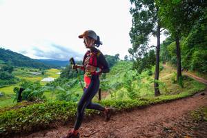 BIB: 
                            <button type="button" onclick="openModal(13360920)" class="btn btn-primary btn-sm float-right btn-popup" data-toggle="modal" data-target=".modal-high-quality">
                        <i class="fas fa-shopping-cart"></i> Add to Cart
                    </button>
                                            <button type="button" onclick="isThisMe(13360920, true)" class="btn btn-success btn-sm float-right btn-popup btn-isme hidden" data-toggle="tooltip" data-placement="bottom" title="นี่คือรูปของคุณใช่ไหม คลิกที่นี่เพื่อเอาเข้าอัลบั้ม">
                        <i class="fas fa-plus"></i> Add to album
                    </button>
                    <button type="button" onclick="isThisMe(13360920, false)" class="btn btn-warning btn-sm float-right btn-popup btn-isnotme hidden">
                        <i class="fas fa-ban"></i> Remove from album
                    </button>