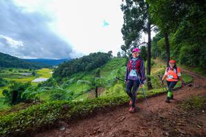 BIB: 
                            <button type="button" onclick="openModal(13364888)" class="btn btn-primary btn-sm float-right btn-popup" data-toggle="modal" data-target=".modal-high-quality">
                        <i class="fas fa-shopping-cart"></i> Add to Cart
                    </button>
                                            <button type="button" onclick="isThisMe(13364888, true)" class="btn btn-success btn-sm float-right btn-popup btn-isme hidden" data-toggle="tooltip" data-placement="bottom" title="นี่คือรูปของคุณใช่ไหม คลิกที่นี่เพื่อเอาเข้าอัลบั้ม">
                        <i class="fas fa-plus"></i> Add to album
                    </button>
                    <button type="button" onclick="isThisMe(13364888, false)" class="btn btn-warning btn-sm float-right btn-popup btn-isnotme hidden">
                        <i class="fas fa-ban"></i> Remove from album
                    </button>