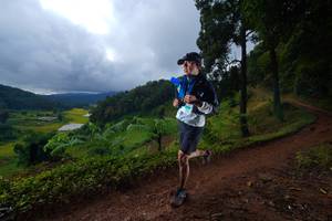 BIB: 
                            <button type="button" onclick="openModal(13360420)" class="btn btn-primary btn-sm float-right btn-popup" data-toggle="modal" data-target=".modal-high-quality">
                        <i class="fas fa-shopping-cart"></i> Add to Cart
                    </button>
                                            <button type="button" onclick="isThisMe(13360420, true)" class="btn btn-success btn-sm float-right btn-popup btn-isme hidden" data-toggle="tooltip" data-placement="bottom" title="นี่คือรูปของคุณใช่ไหม คลิกที่นี่เพื่อเอาเข้าอัลบั้ม">
                        <i class="fas fa-plus"></i> Add to album
                    </button>
                    <button type="button" onclick="isThisMe(13360420, false)" class="btn btn-warning btn-sm float-right btn-popup btn-isnotme hidden">
                        <i class="fas fa-ban"></i> Remove from album
                    </button>