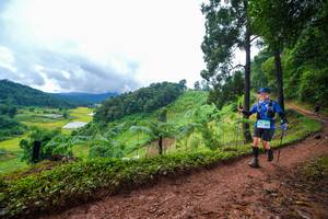 BIB: 
                            <button type="button" onclick="openModal(13360950)" class="btn btn-primary btn-sm float-right btn-popup" data-toggle="modal" data-target=".modal-high-quality">
                        <i class="fas fa-shopping-cart"></i> Add to Cart
                    </button>
                                            <button type="button" onclick="isThisMe(13360950, true)" class="btn btn-success btn-sm float-right btn-popup btn-isme hidden" data-toggle="tooltip" data-placement="bottom" title="นี่คือรูปของคุณใช่ไหม คลิกที่นี่เพื่อเอาเข้าอัลบั้ม">
                        <i class="fas fa-plus"></i> Add to album
                    </button>
                    <button type="button" onclick="isThisMe(13360950, false)" class="btn btn-warning btn-sm float-right btn-popup btn-isnotme hidden">
                        <i class="fas fa-ban"></i> Remove from album
                    </button>