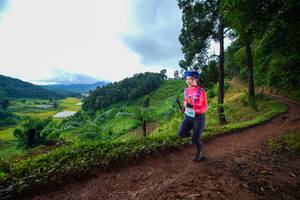 BIB: 
                            <button type="button" onclick="openModal(13360735)" class="btn btn-primary btn-sm float-right btn-popup" data-toggle="modal" data-target=".modal-high-quality">
                        <i class="fas fa-shopping-cart"></i> Add to Cart
                    </button>
                                            <button type="button" onclick="isThisMe(13360735, true)" class="btn btn-success btn-sm float-right btn-popup btn-isme hidden" data-toggle="tooltip" data-placement="bottom" title="นี่คือรูปของคุณใช่ไหม คลิกที่นี่เพื่อเอาเข้าอัลบั้ม">
                        <i class="fas fa-plus"></i> Add to album
                    </button>
                    <button type="button" onclick="isThisMe(13360735, false)" class="btn btn-warning btn-sm float-right btn-popup btn-isnotme hidden">
                        <i class="fas fa-ban"></i> Remove from album
                    </button>