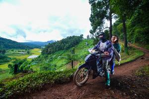 BIB: 
                            <button type="button" onclick="openModal(13362187)" class="btn btn-primary btn-sm float-right btn-popup" data-toggle="modal" data-target=".modal-high-quality">
                        <i class="fas fa-shopping-cart"></i> Add to Cart
                    </button>
                                            <button type="button" onclick="isThisMe(13362187, true)" class="btn btn-success btn-sm float-right btn-popup btn-isme hidden" data-toggle="tooltip" data-placement="bottom" title="นี่คือรูปของคุณใช่ไหม คลิกที่นี่เพื่อเอาเข้าอัลบั้ม">
                        <i class="fas fa-plus"></i> Add to album
                    </button>
                    <button type="button" onclick="isThisMe(13362187, false)" class="btn btn-warning btn-sm float-right btn-popup btn-isnotme hidden">
                        <i class="fas fa-ban"></i> Remove from album
                    </button>